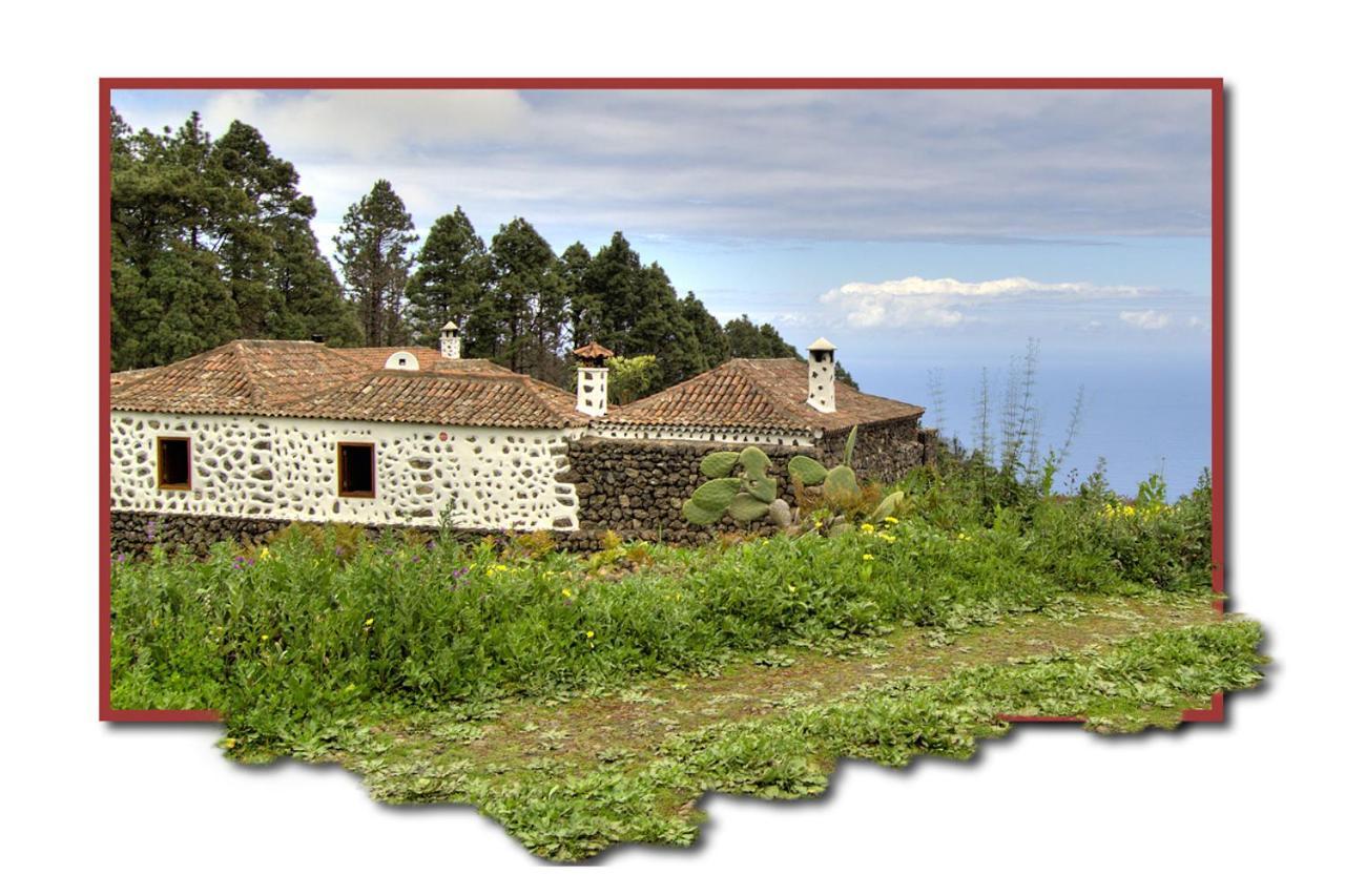 Holidaynorthtenerife Casa Rural Montiel Icod de los Vinos Kültér fotó